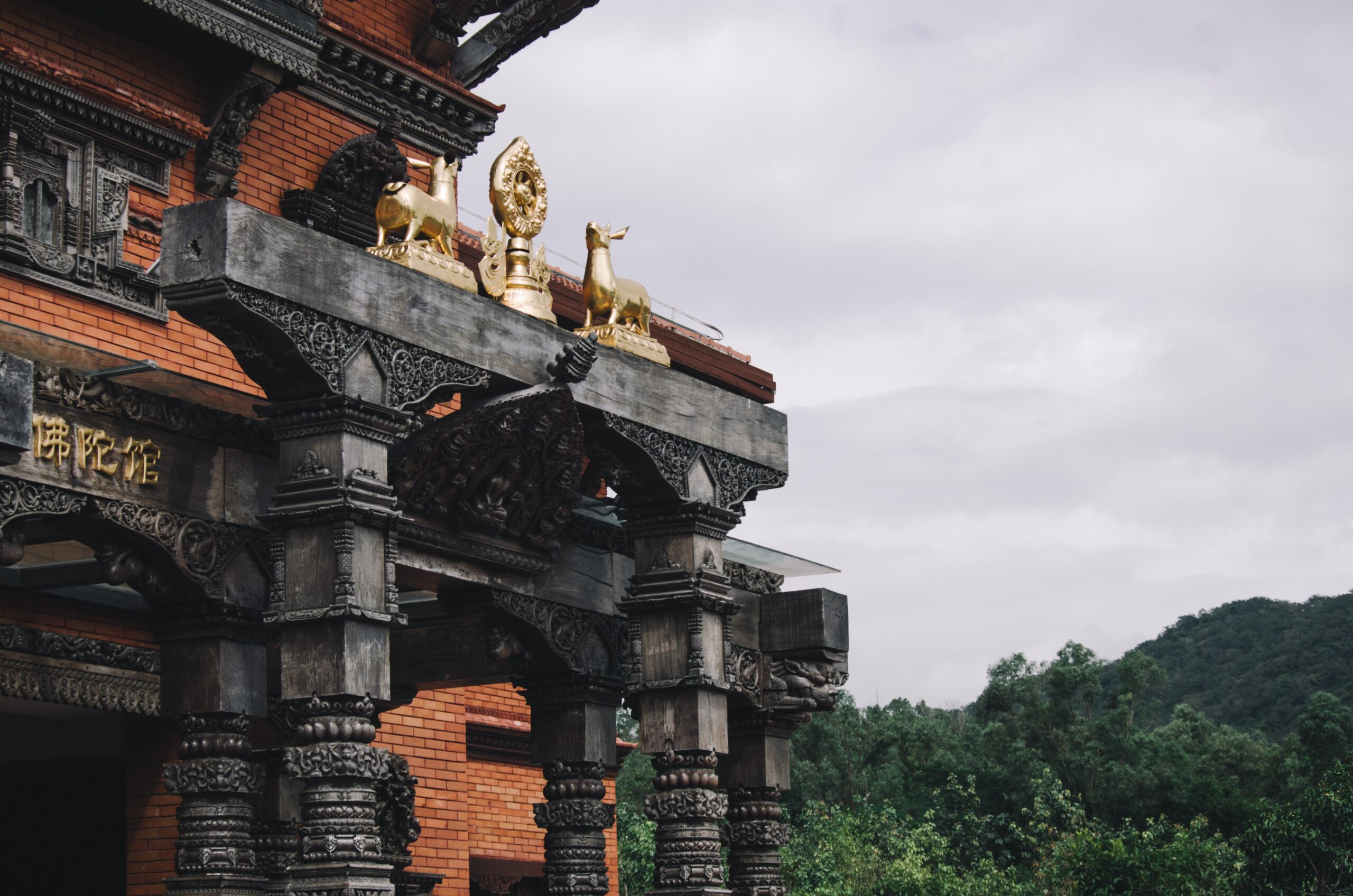 ilyuza-mingazova-q6FIiuWvzPE-unsplash