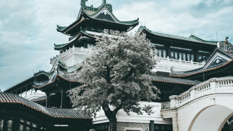 China and “The Great Proletarian Cultural Revolution”