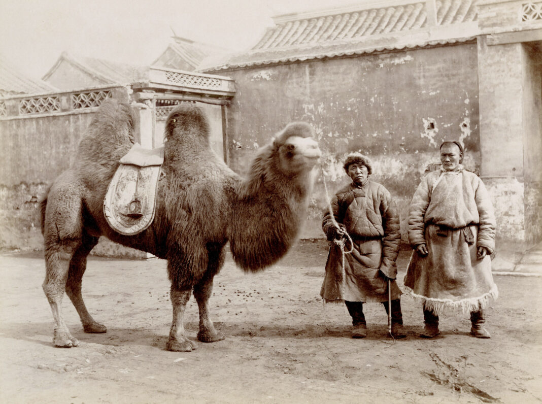 HISTORY IN THE MAKING